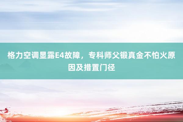 格力空调显露E4故障，专科师父锻真金不怕火原因及措置门径