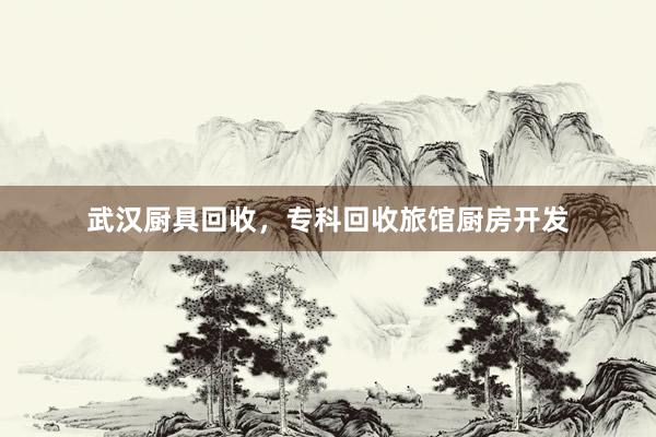 武汉厨具回收，专科回收旅馆厨房开发